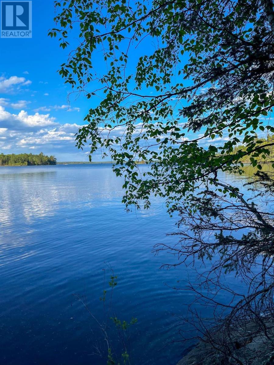 11 Hay Island, Lake Of The Woods, S Of Kenora, Ontario  P0X 1H0 - Photo 8 - TB250647