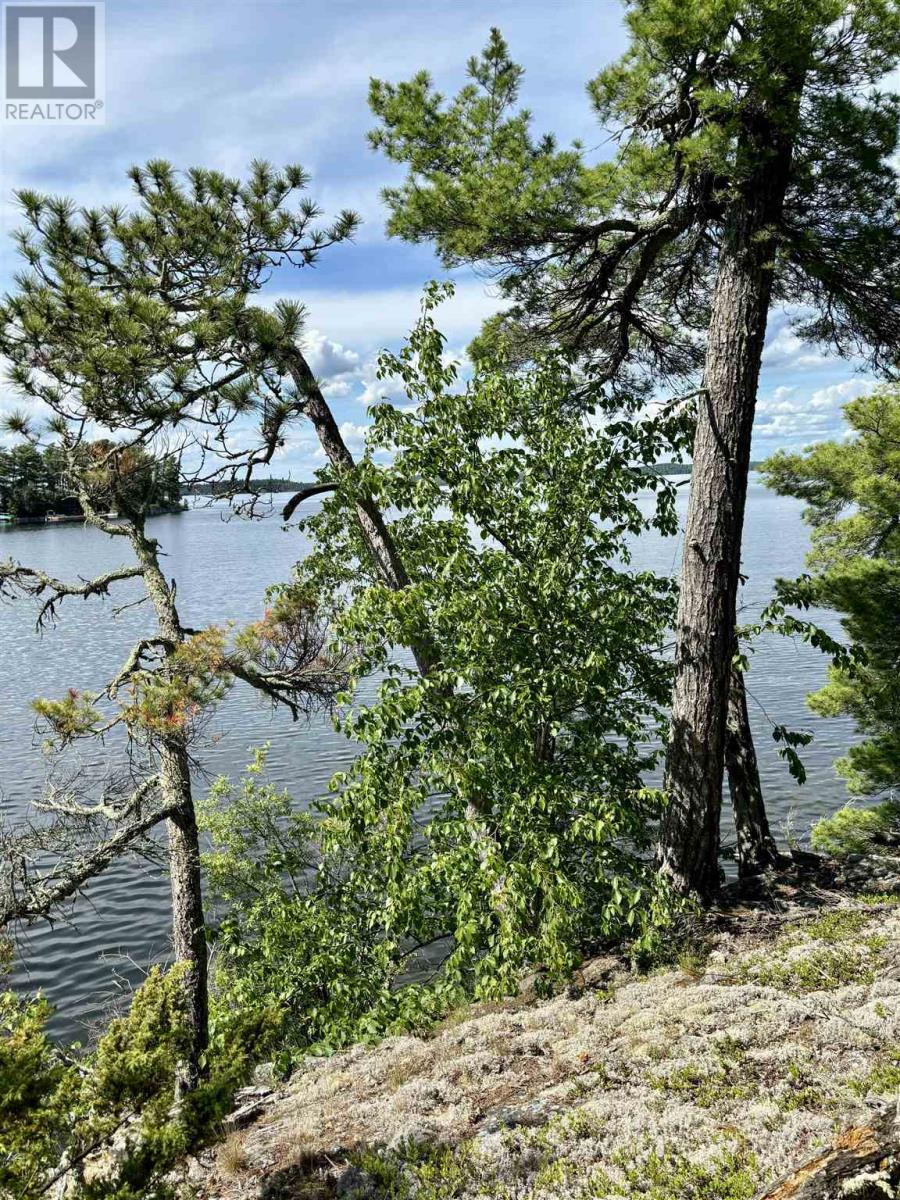 5 Hay Island, Lake Of The Woods, S Of Kenora, Ontario  P0X 1H0 - Photo 42 - TB250674
