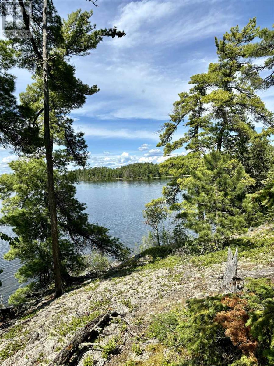 5 Hay Island, Lake Of The Woods, S Of Kenora, Ontario  P0X 1H0 - Photo 43 - TB250674