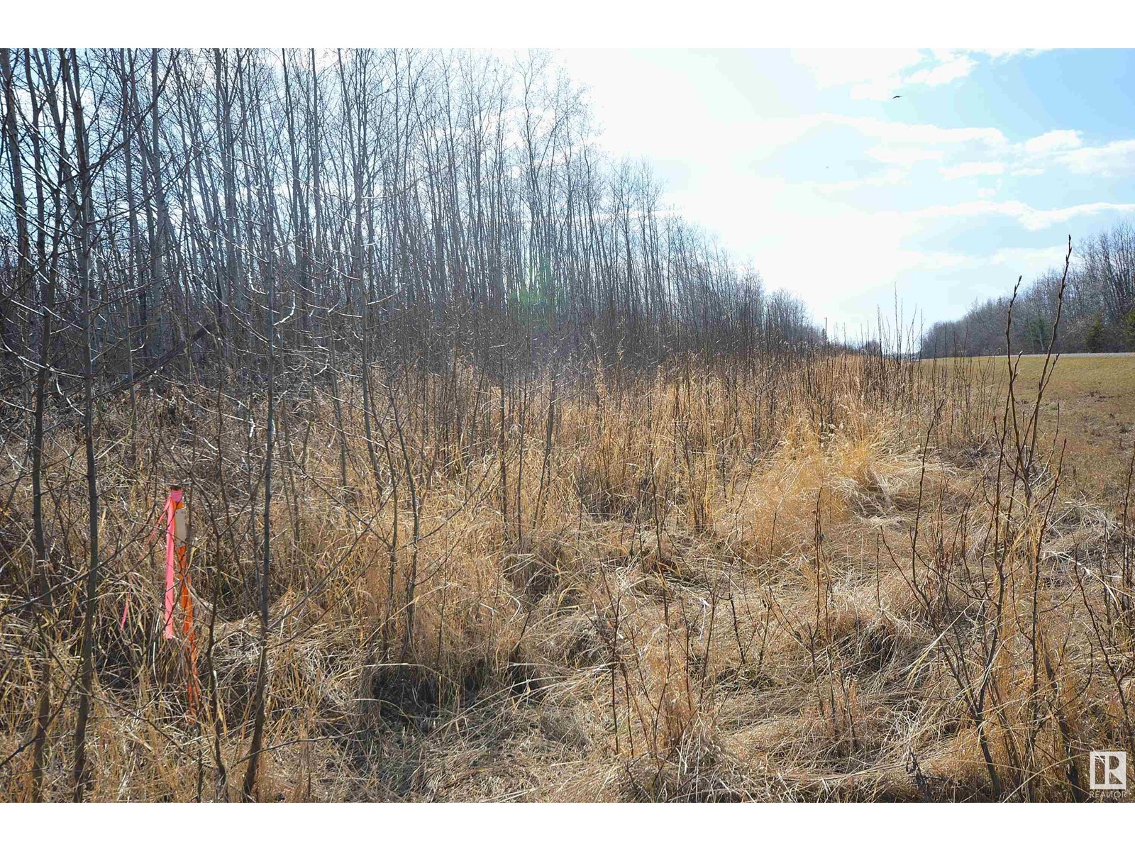 Next To 47103 Twp Rd 634a, Rural Bonnyville M.d., Alberta  T0A 2A0 - Photo 15 - E4433467