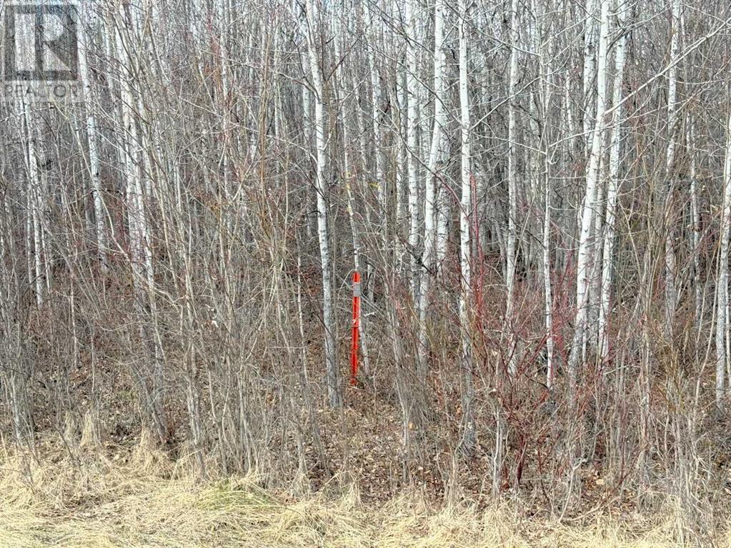 Lot 1 221066 Township Road 670, Rural Athabasca County, Alberta  T9S 2B5 - Photo 4 - A2216412