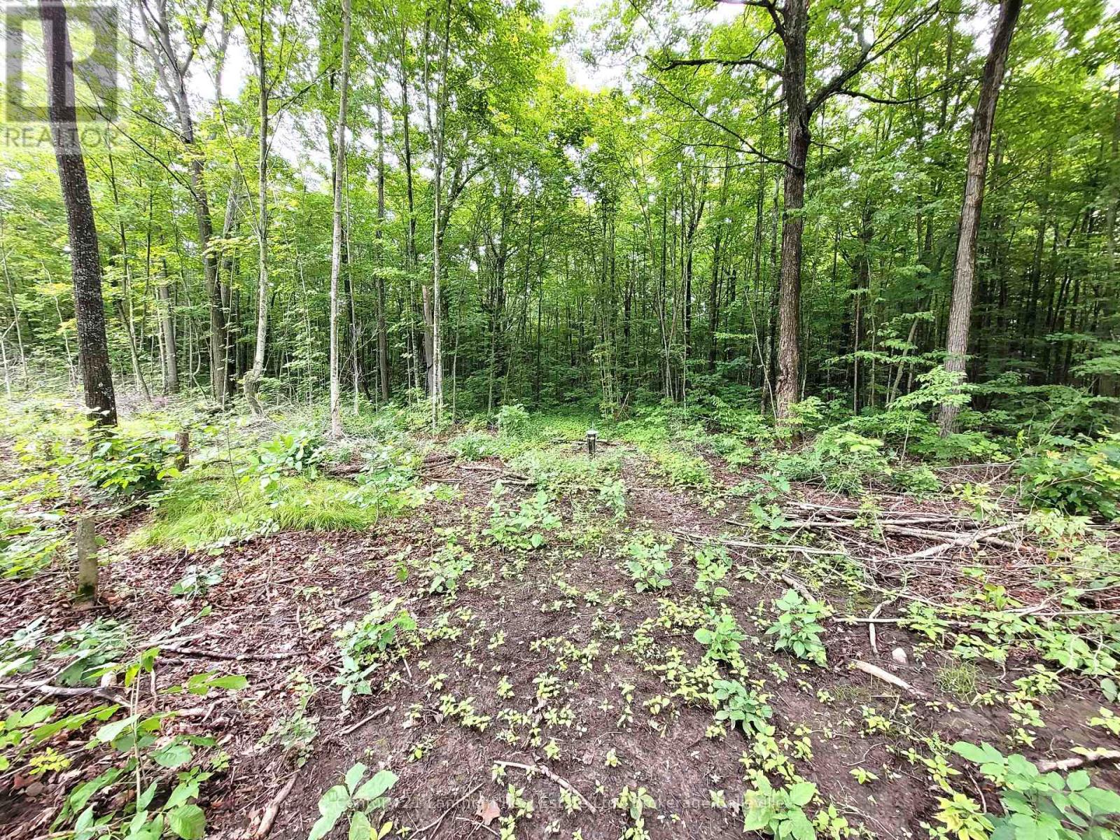 0 Spry Road, Stirling-Rawdon, Ontario  K0K 3E0 - Photo 18 - X12113968
