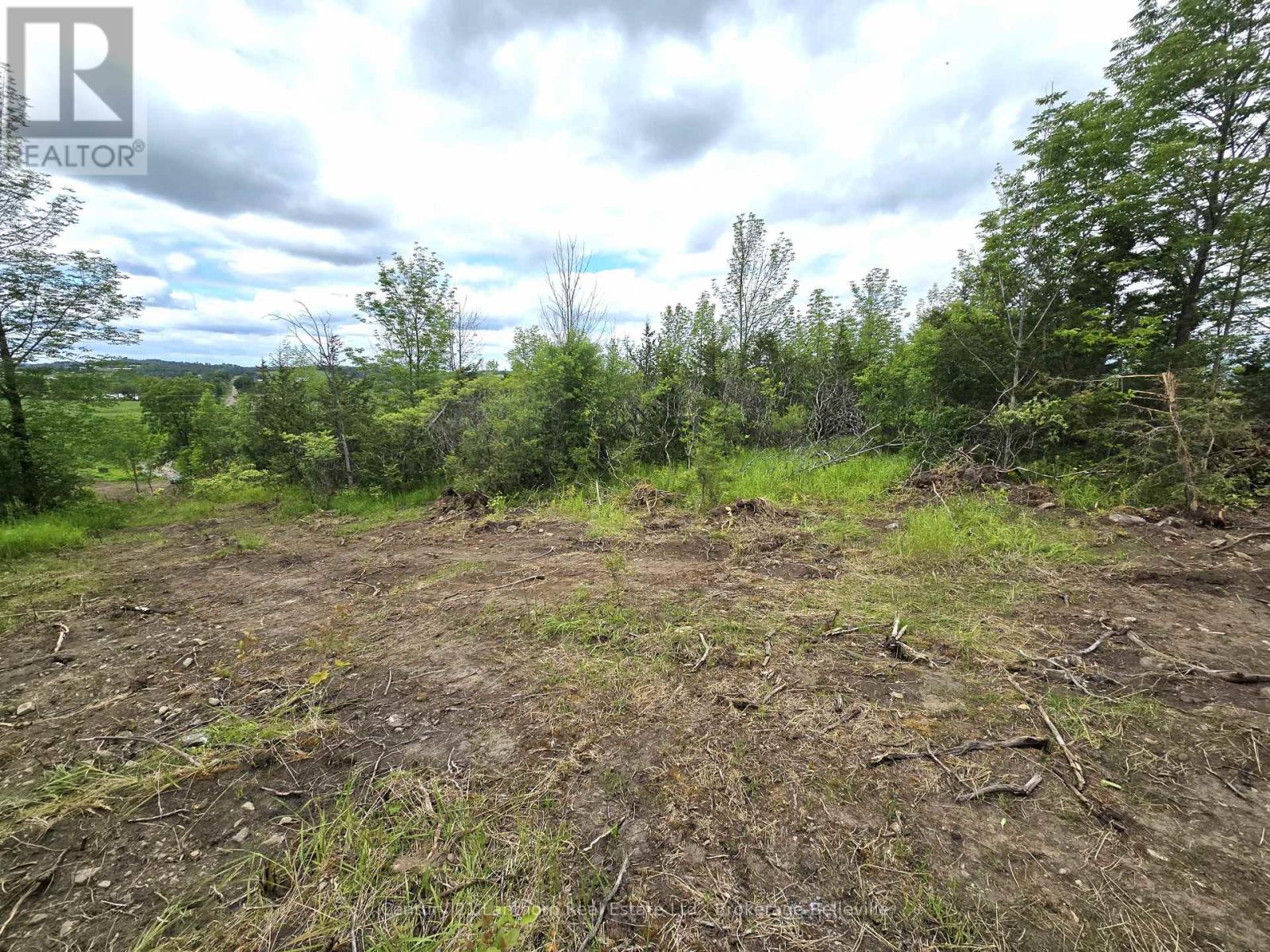 0 Devils Valley Road, Trent Hills, Ontario  K0L 1L0 - Photo 11 - X12114002