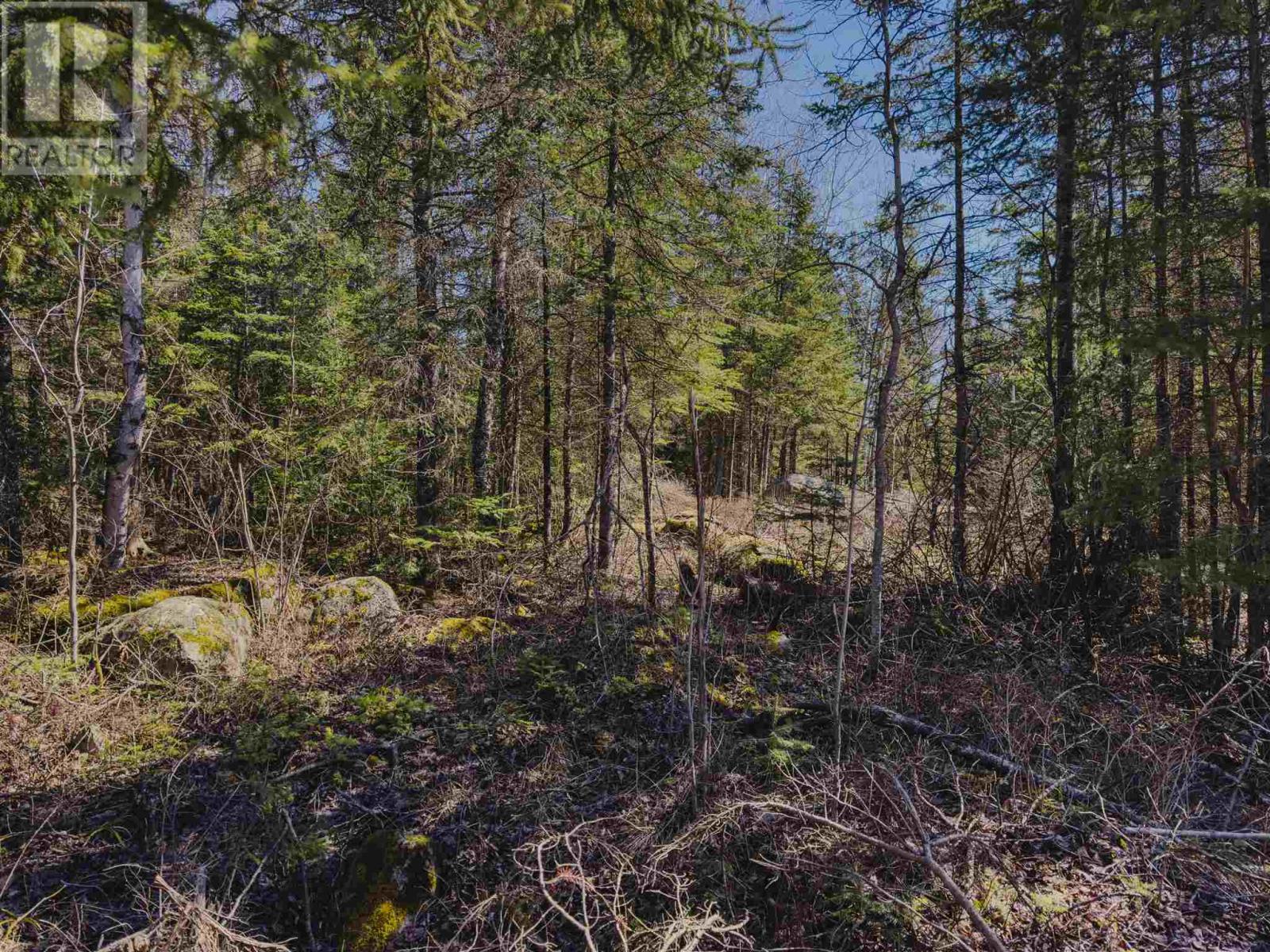 Part 3 Plan 23r15112 Hilly Lake Rd, Kenora, Ontario  P9N 3W8 - Photo 11 - TB250926