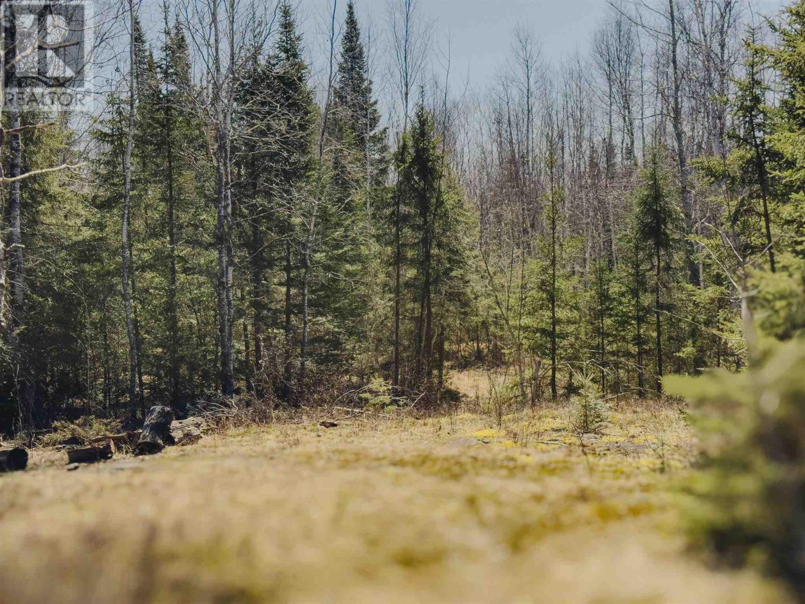 Part 4 Plan 23r15112 Hilly Lake Rd, Kenora, Ontario  P9N 3W8 - Photo 17 - TB250927