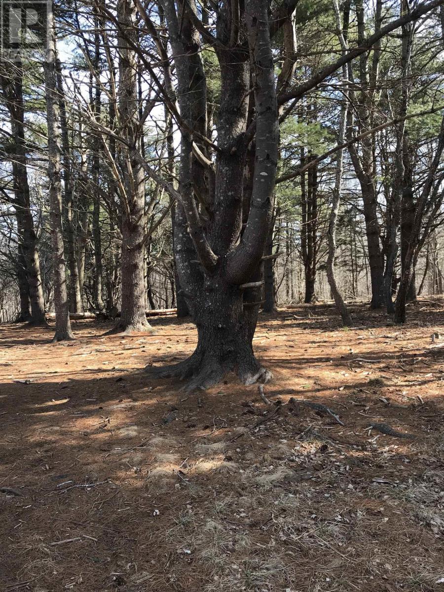 Lots Clearland Road, Lot Main Street, Mahone Bay, Nova Scotia  B0J 2E0 - Photo 21 - 202509329