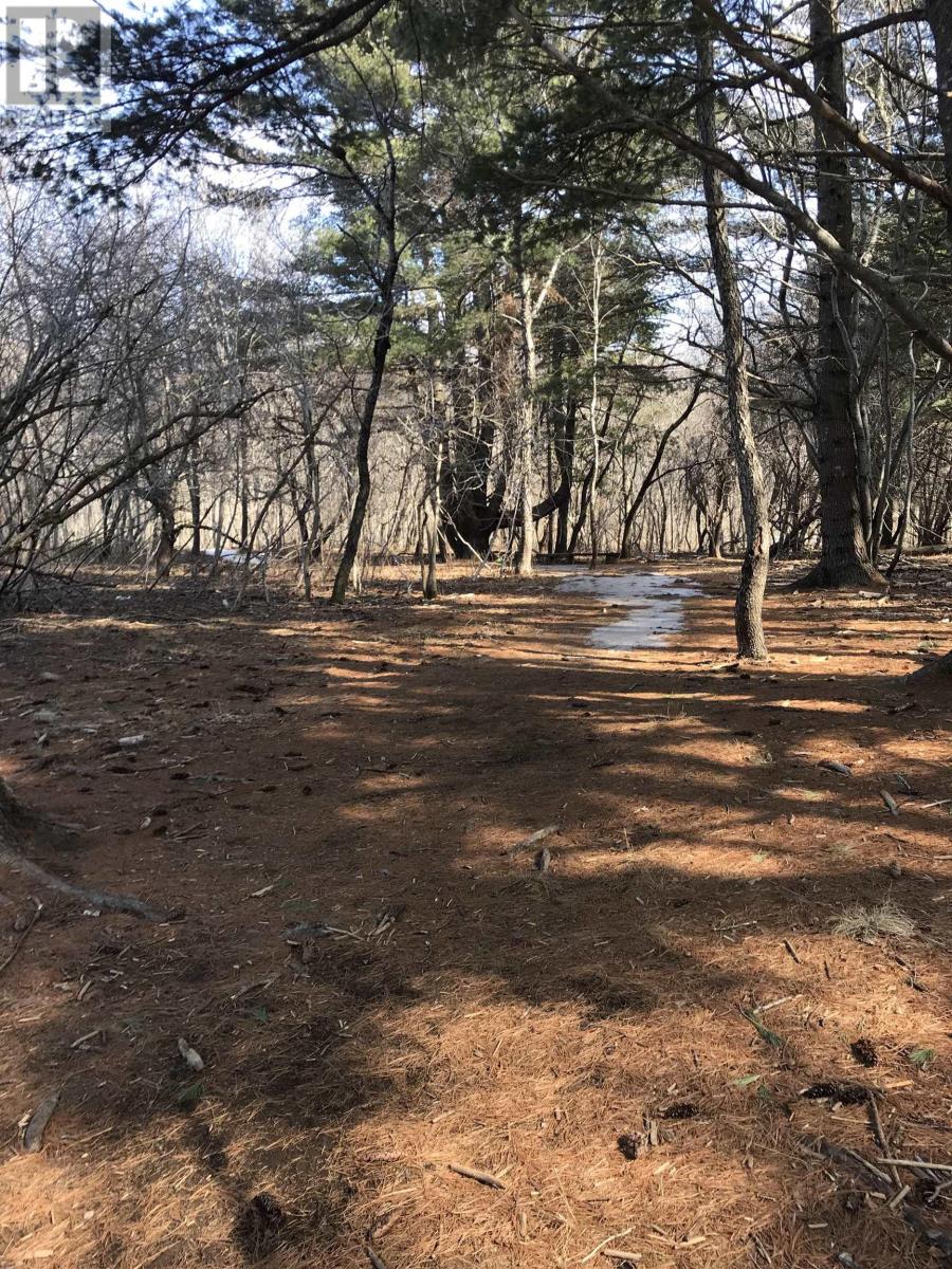 Lots Clearland Road, Lot Main Street, Mahone Bay, Nova Scotia  B0J 2E0 - Photo 24 - 202509329