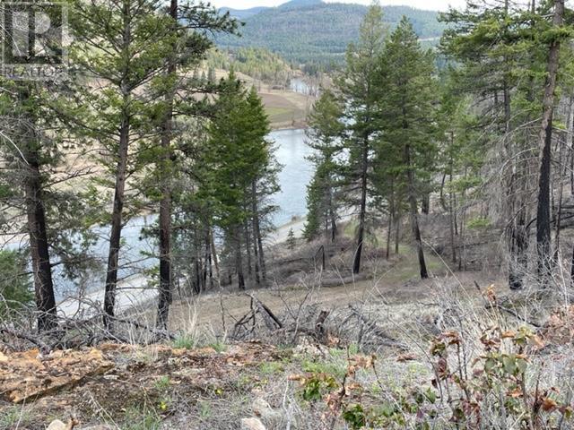 1851 Hwy 33 Highway, Rock Creek, British Columbia  V0H 1Y0 - Photo 20 - 10345633