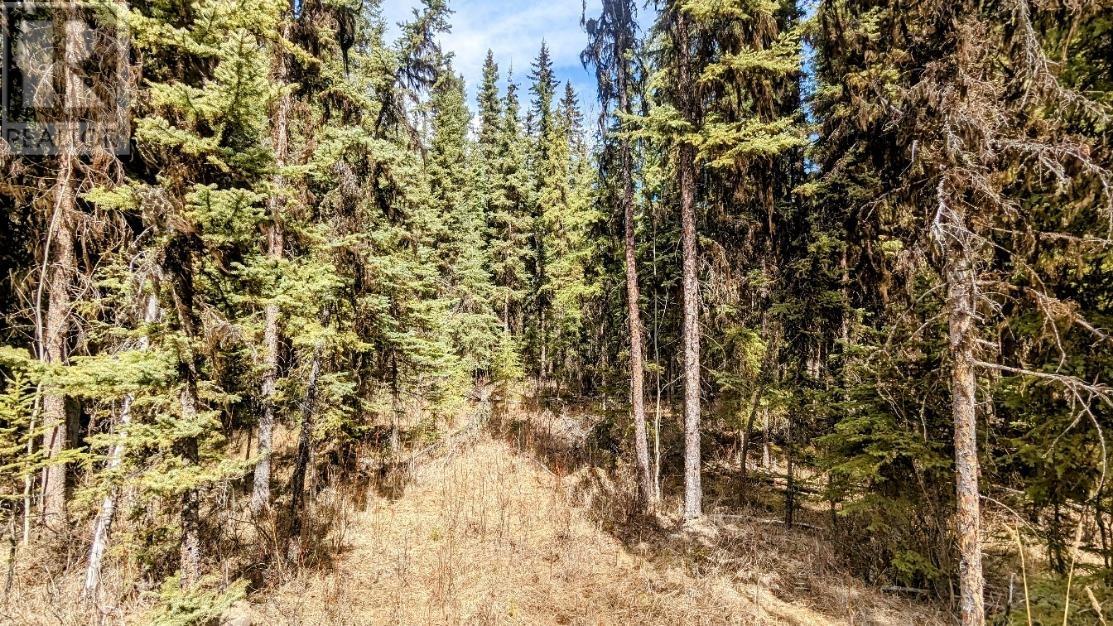 Lot 13 Unicorn Road, 100 Mile House, British Columbia  V0K 2E3 - Photo 14 - R2966766