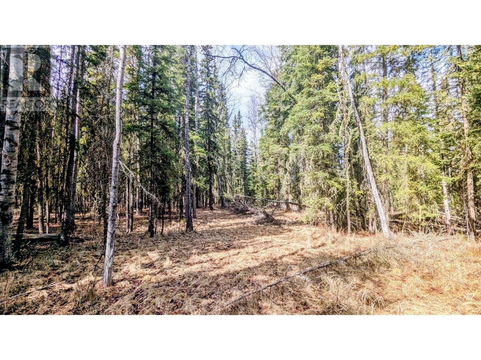 Lot 13 Unicorn Road, 100 Mile House, British Columbia  V0K 2E3 - Photo 13 - R2966766