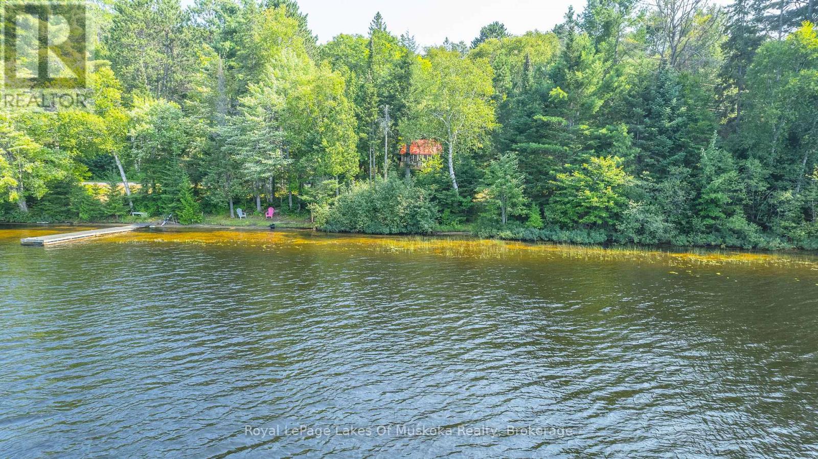 1257 Paint Lake Road, Lake Of Bays (Ridout), Ontario  P0A 1E0 - Photo 5 - X12114172
