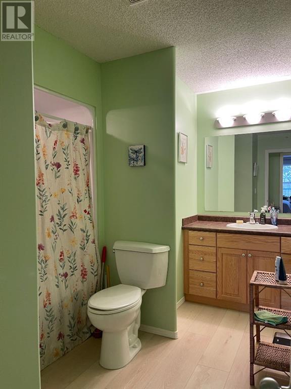 405, 4646 Pleasantview Dr, High Prairie, Alberta  T0G 1E0 - Photo 9 - A2216271