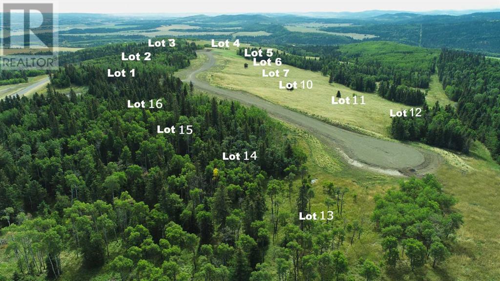 Lot 11 Whiskey Springs Hill W, Rural Foothills County, Alberta  T0L 1W4 - Photo 5 - A2191434