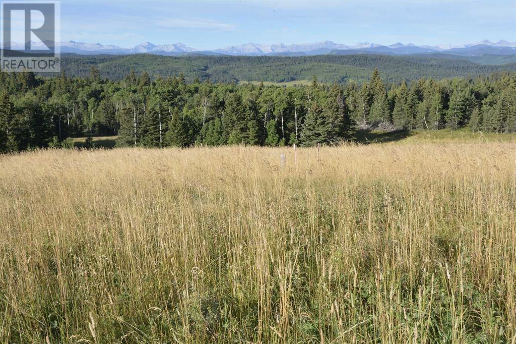 Lot 11 Whiskey Springs Hill W, Rural Foothills County, Alberta  T0L 1W4 - Photo 14 - A2191434