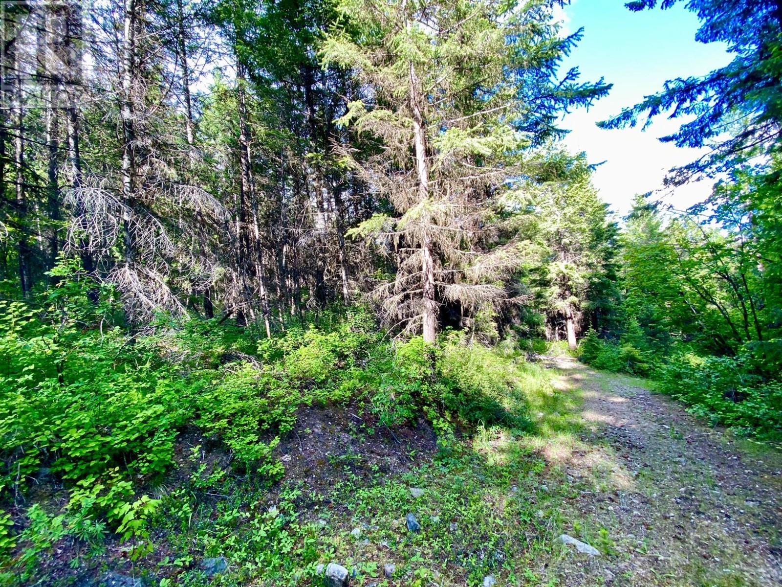 Lot 1827s Morrissey Creek Road, Grand Forks, British Columbia  V0H 1H0 - Photo 12 - 10345217