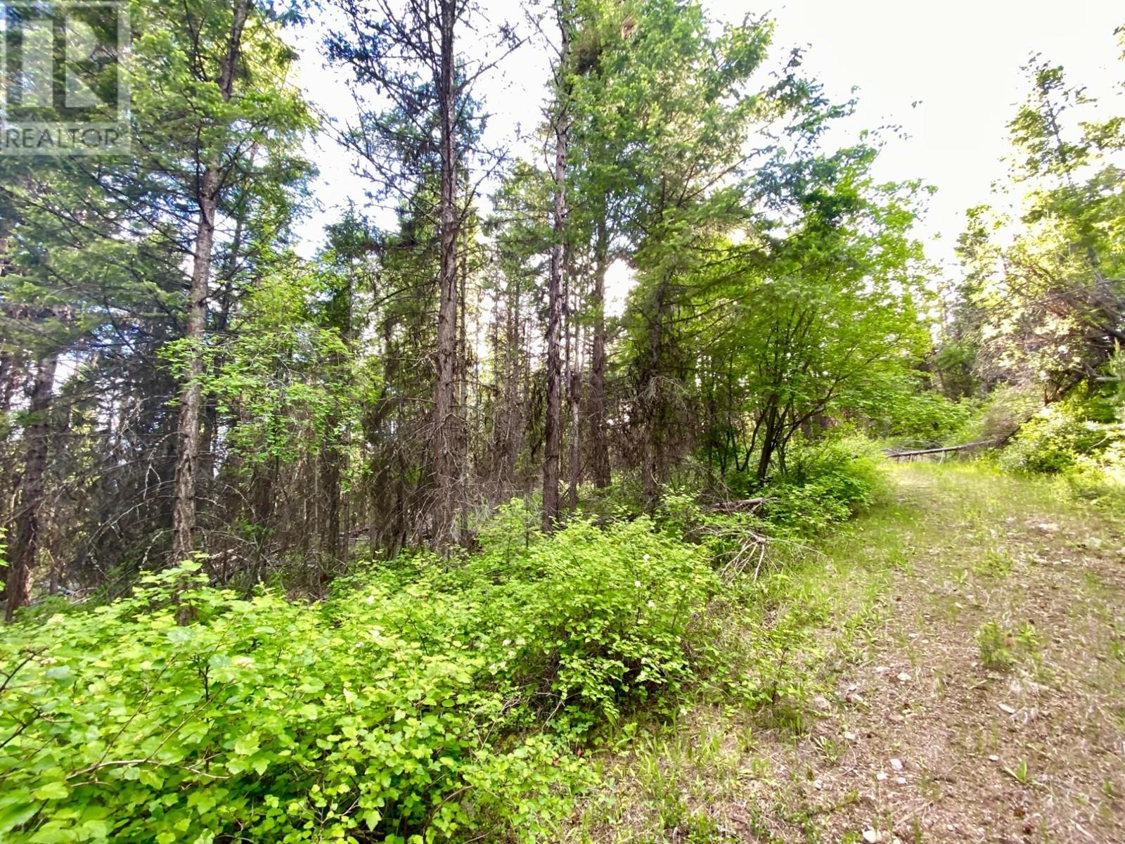 Lot 1827s Morrissey Creek Road, Grand Forks, British Columbia  V0H 1H0 - Photo 9 - 10345217