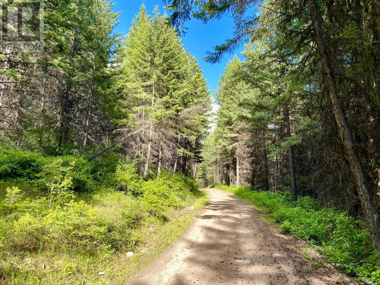 Lot 1827s Morrissey Creek Road, Grand Forks, British Columbia  V0H 1H0 - Photo 10 - 10345217