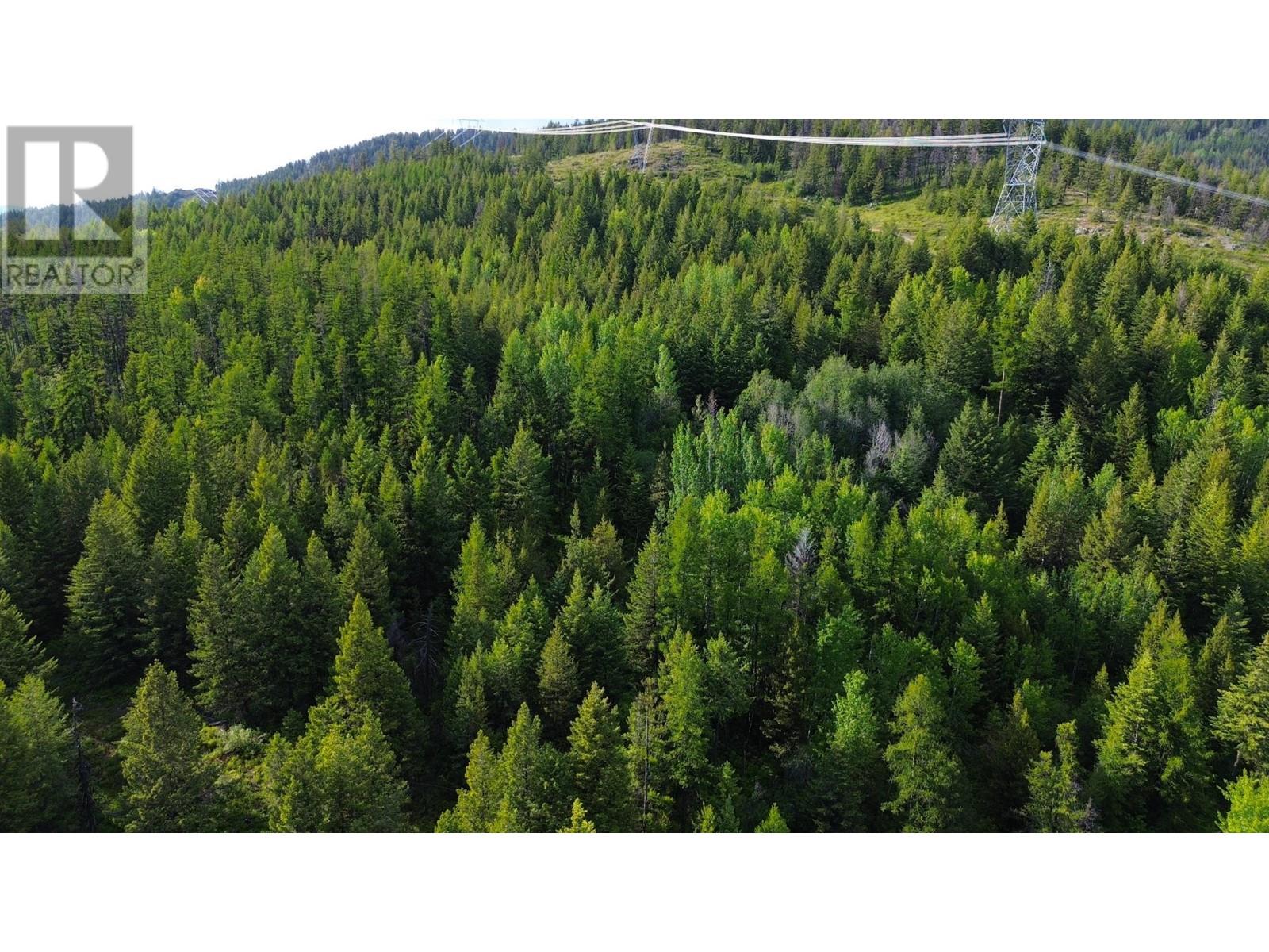 Lot 1827s Morrissey Creek Road, Grand Forks, British Columbia  V0H 1H0 - Photo 7 - 10345217