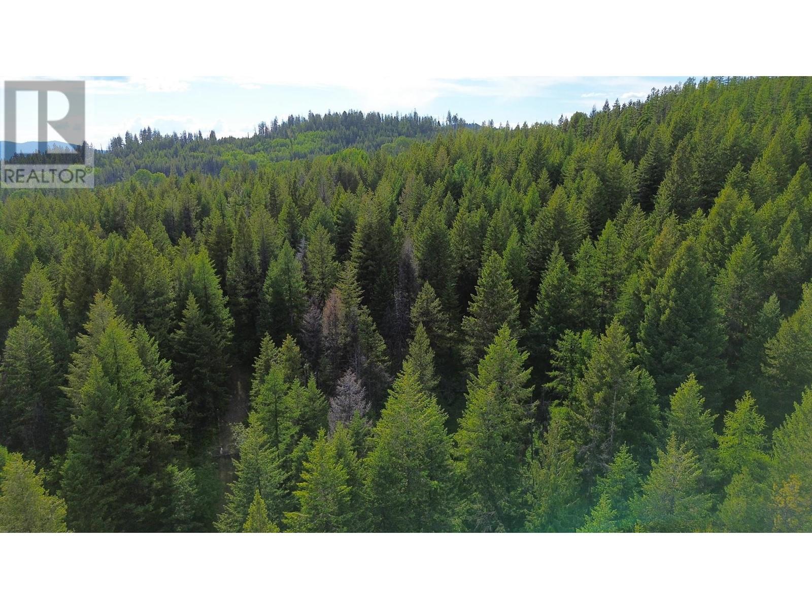 Lot 1827s Morrissey Creek Road, Grand Forks, British Columbia  V0H 1H0 - Photo 6 - 10345217
