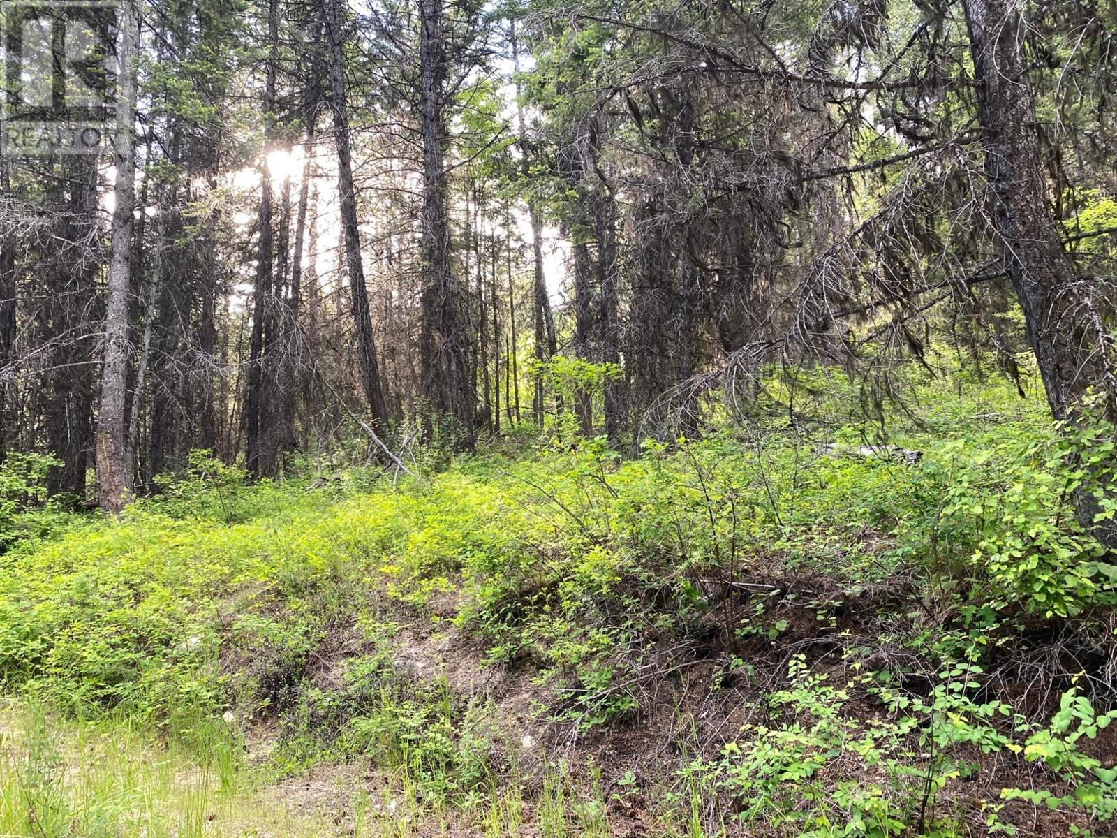 Lot 1827s Morrissey Creek Road, Grand Forks, British Columbia  V0H 1H0 - Photo 13 - 10345217