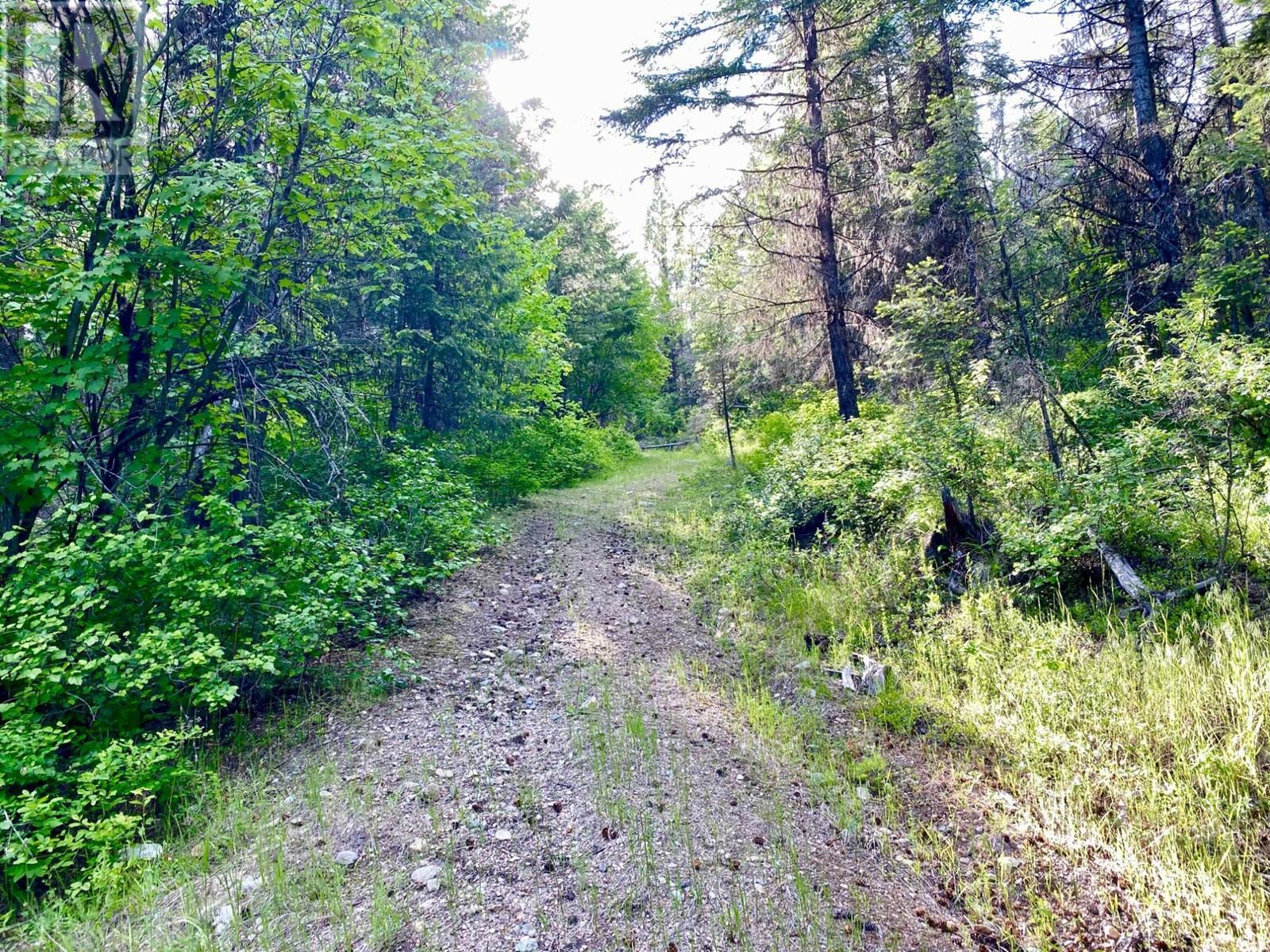 Lot 1827s Morrissey Creek Road, Grand Forks, British Columbia  V0H 1H0 - Photo 11 - 10345217