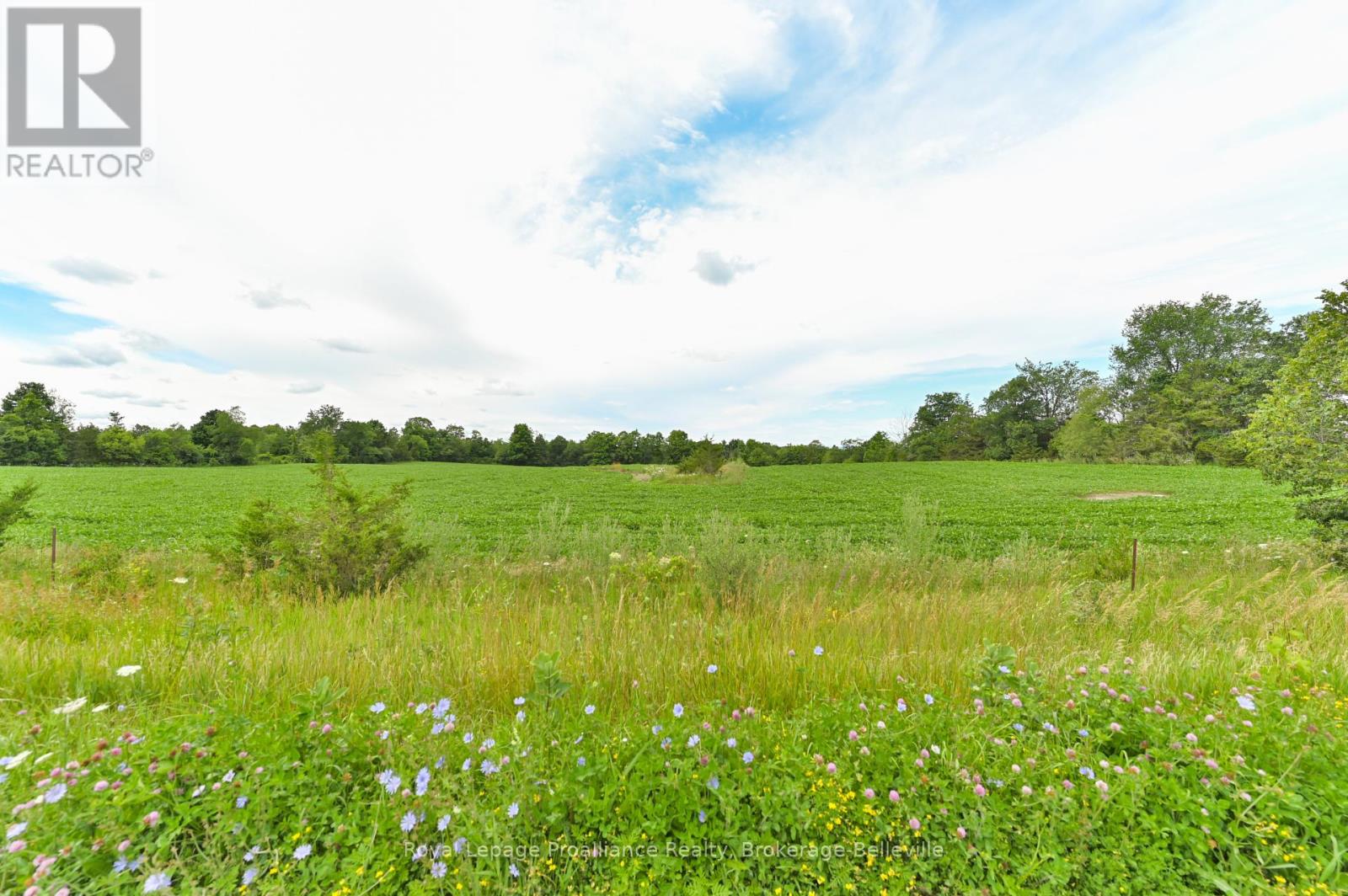 0 Shannonville Road, Tyendinaga, Ontario  K0K 1V0 - Photo 11 - X12114275