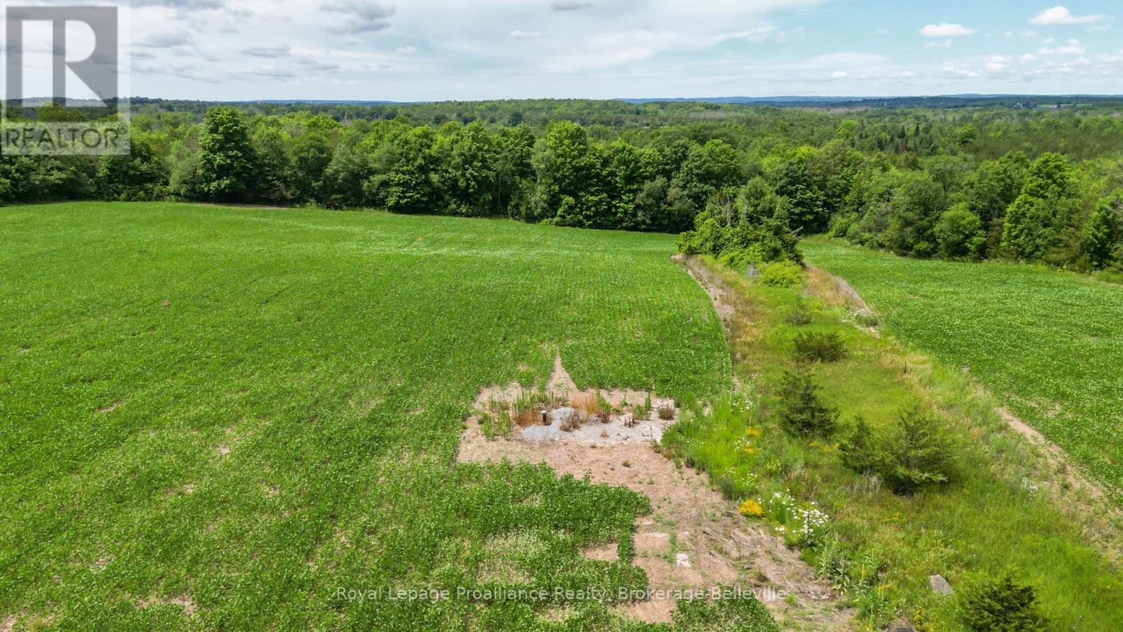 0 Shannonville Road, Tyendinaga, Ontario  K0K 1V0 - Photo 4 - X12114275