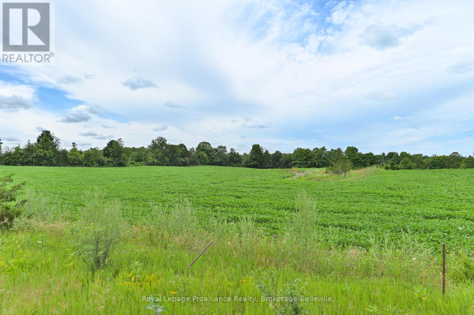 0 Shannonville Road, Tyendinaga, Ontario  K0K 1V0 - Photo 5 - X12114275