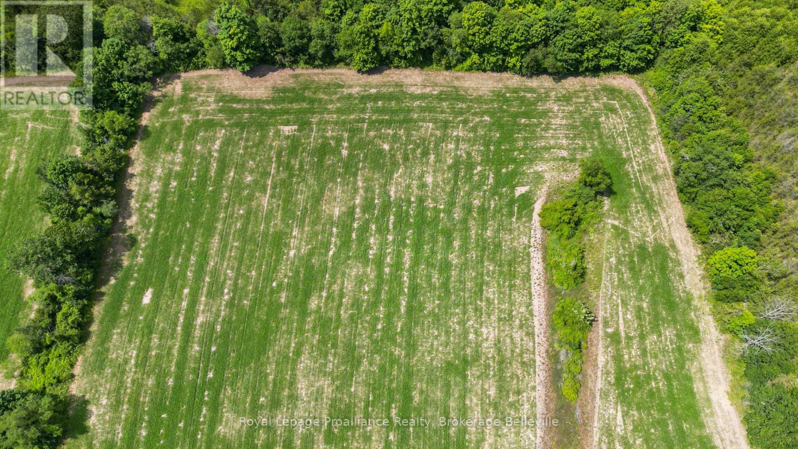 0 Shannonville Road, Tyendinaga, Ontario  K0K 1V0 - Photo 7 - X12114275