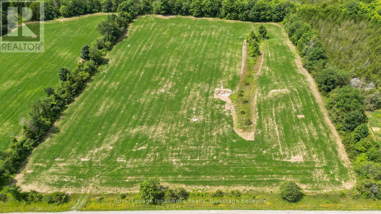 0 Shannonville Road, Tyendinaga, Ontario  K0K 1V0 - Photo 9 - X12114275