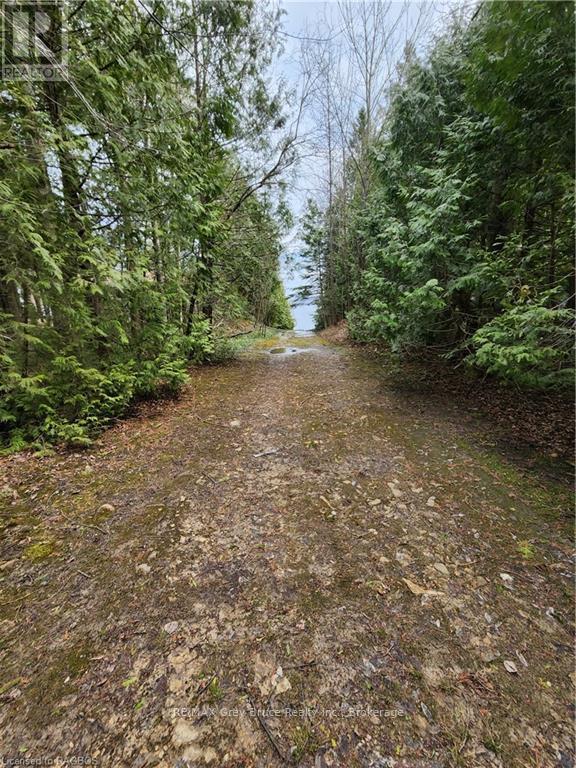 132-B Georgian Drive, Northern Bruce Peninsula, Ontario  N0H 1W0 - Photo 18 - X12055178