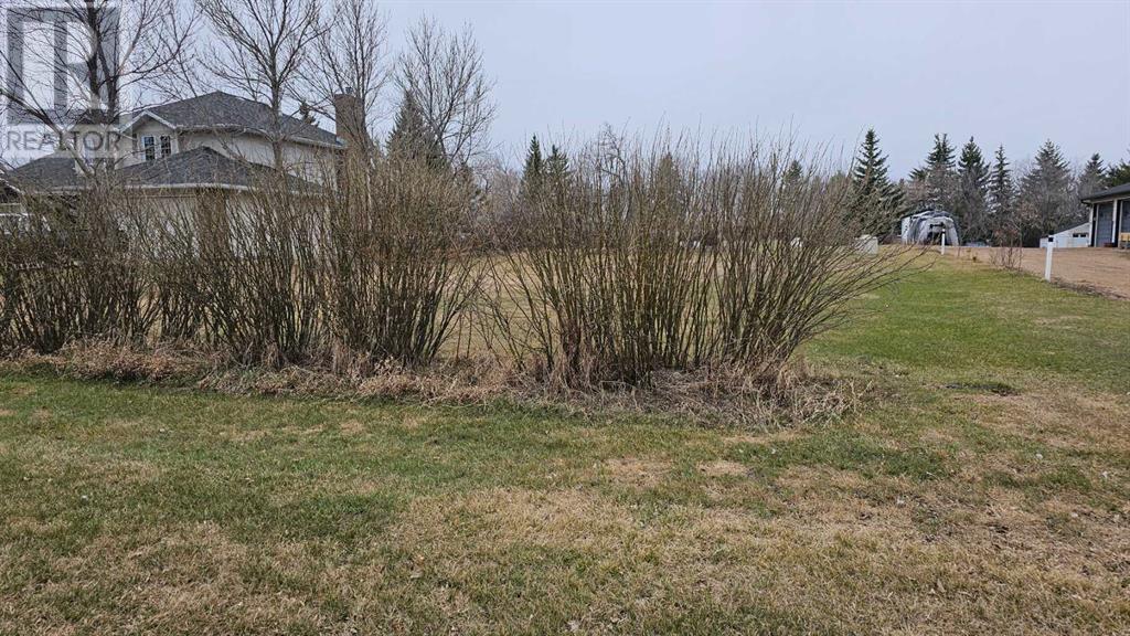 5406 50 Street, Castor, Alberta  T0C 0X0 - Photo 2 - A2124933