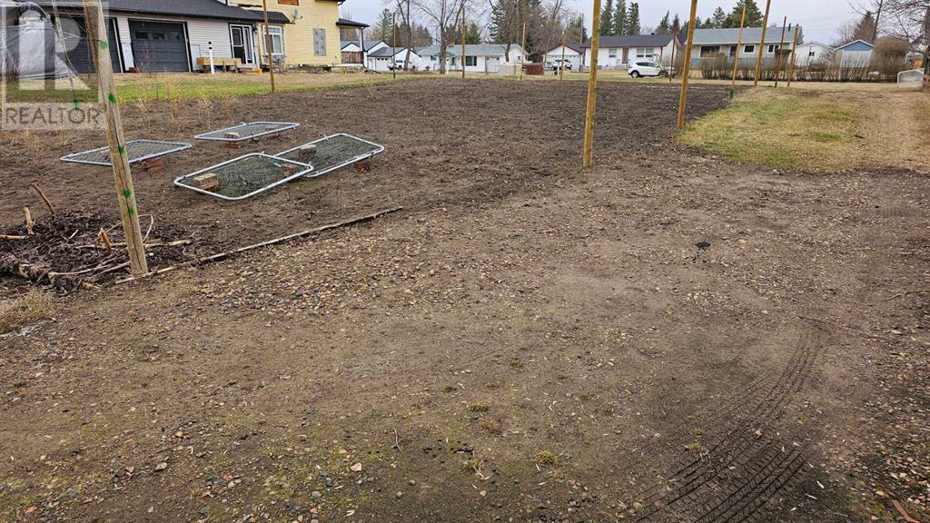 5406 50 Street, Castor, Alberta  T0C 0X0 - Photo 5 - A2124933