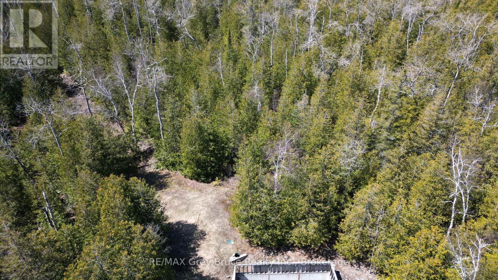 751 East Road, Northern Bruce Peninsula, Ontario  N0H 1Z0 - Photo 13 - X11940845