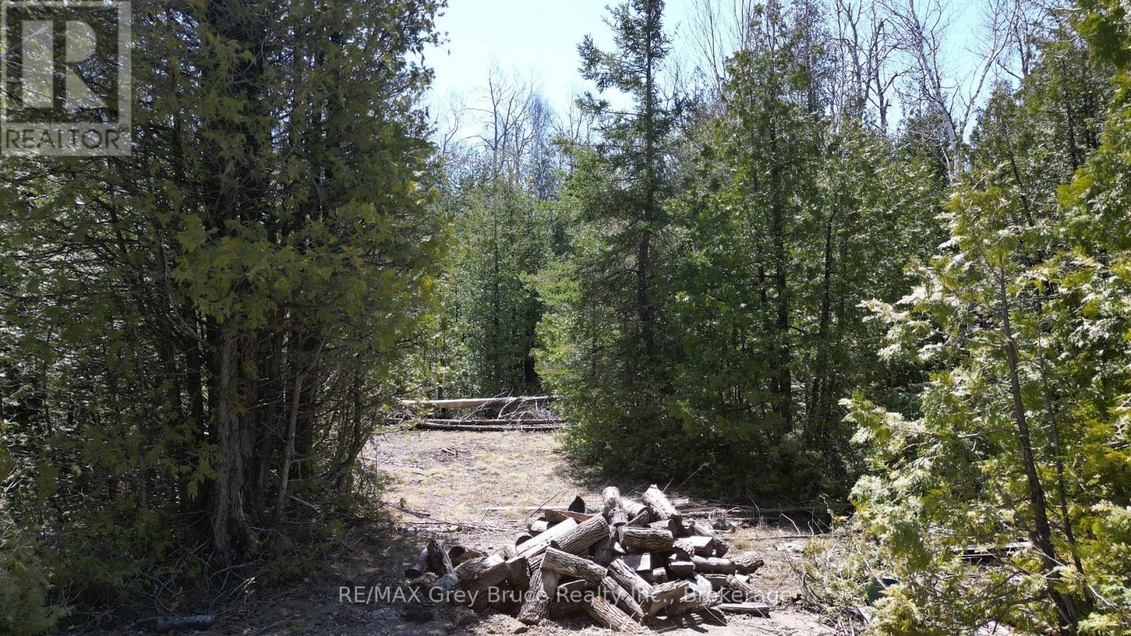 751 East Road, Northern Bruce Peninsula, Ontario  N0H 1Z0 - Photo 18 - X11940845