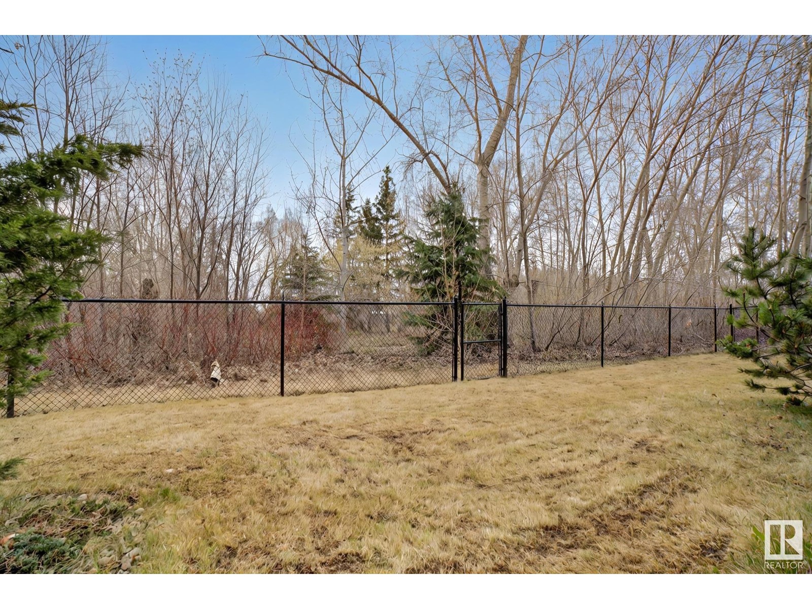 8 Loiselle Way, St. Albert, Alberta  T8N 2P3 - Photo 75 - E4433542