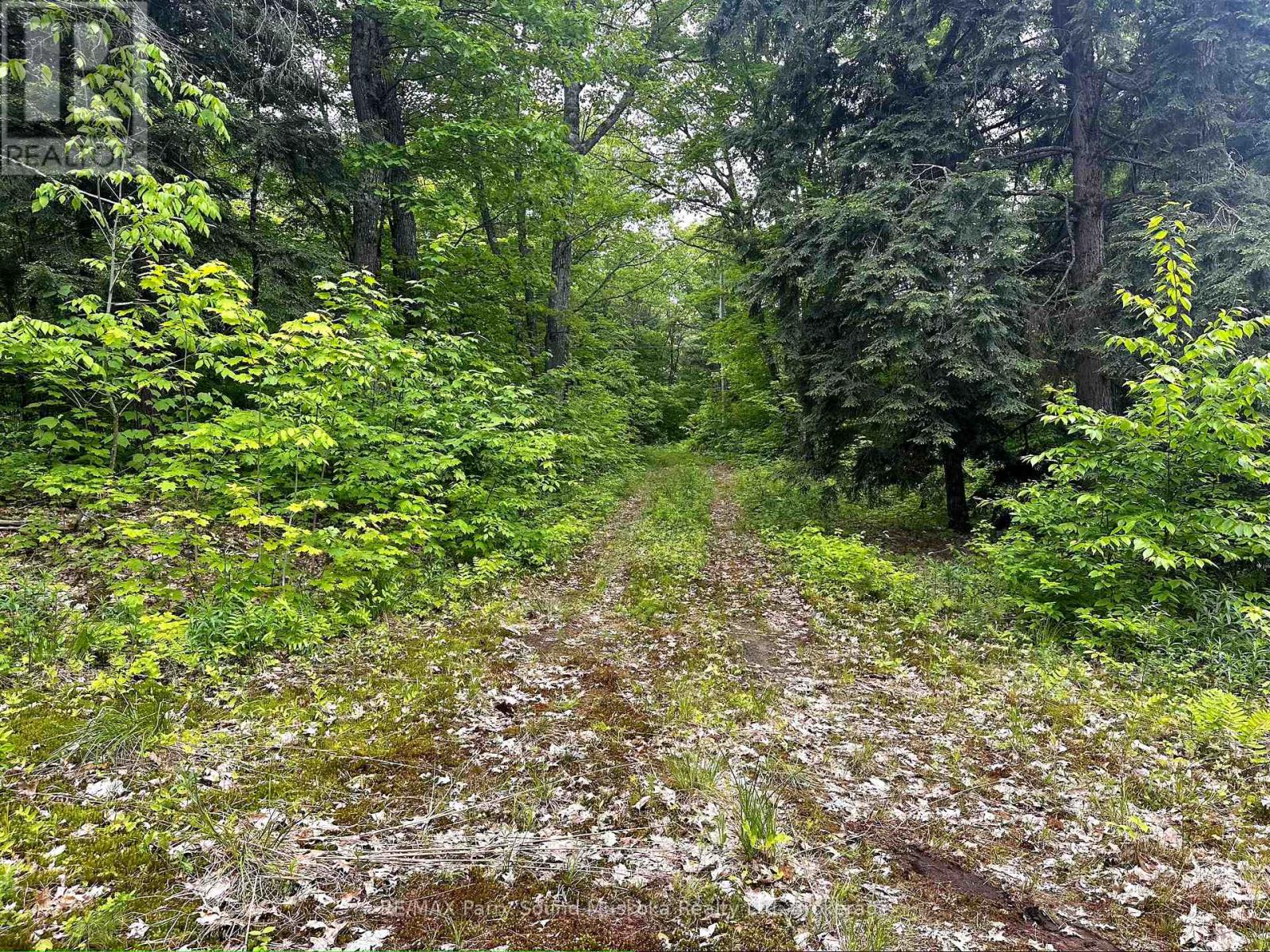 3 Greenwood Camp Road, Seguin, Ontario  P2A 2W8 - Photo 10 - X12114584