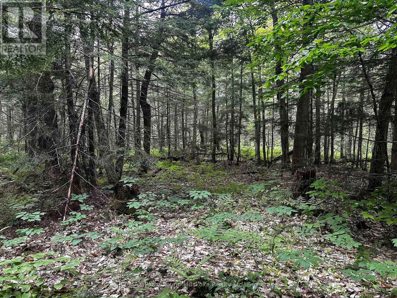 3 Greenwood Camp Road, Seguin, Ontario  P2A 2W8 - Photo 12 - X12114584