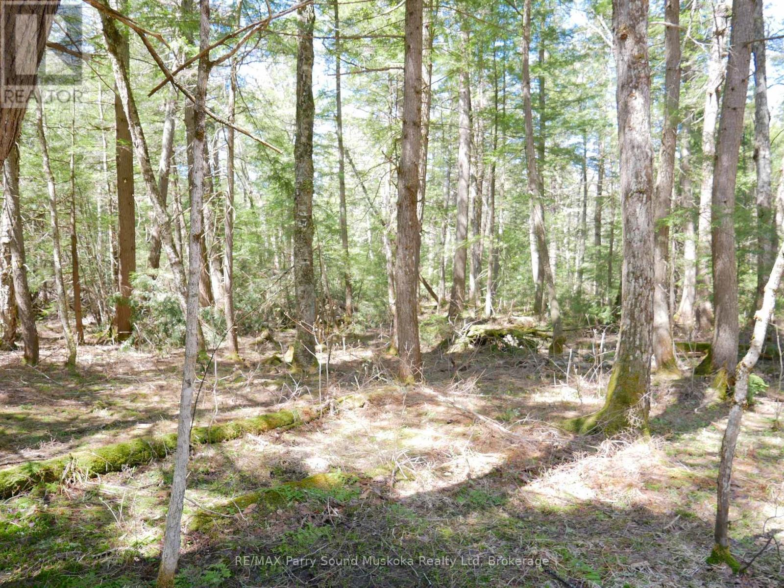 3 Greenwood Camp Road, Seguin, Ontario  P2A 2W8 - Photo 15 - X12114584