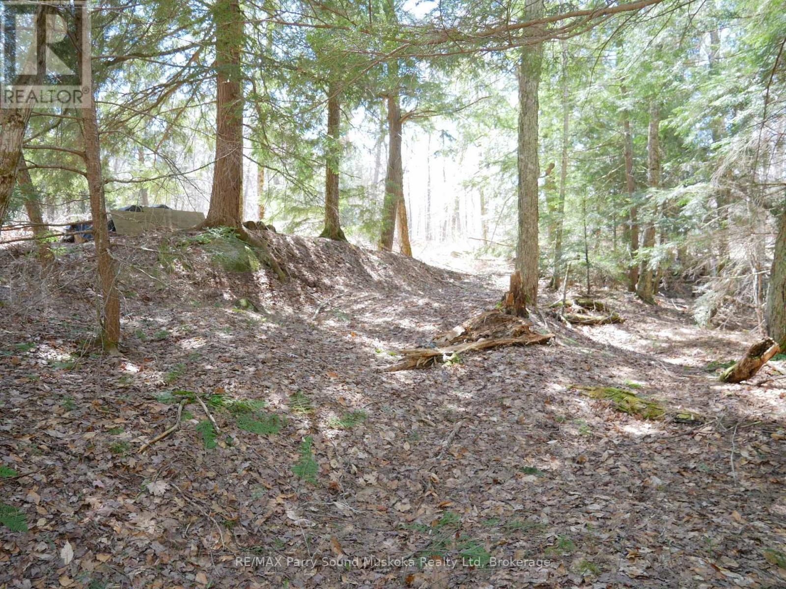 3 Greenwood Camp Road, Seguin, Ontario  P2A 2W8 - Photo 16 - X12114584
