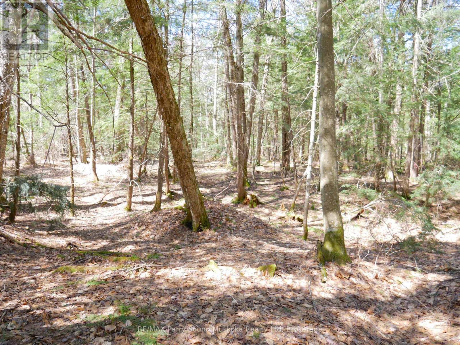 3 Greenwood Camp Road, Seguin, Ontario  P2A 2W8 - Photo 17 - X12114584