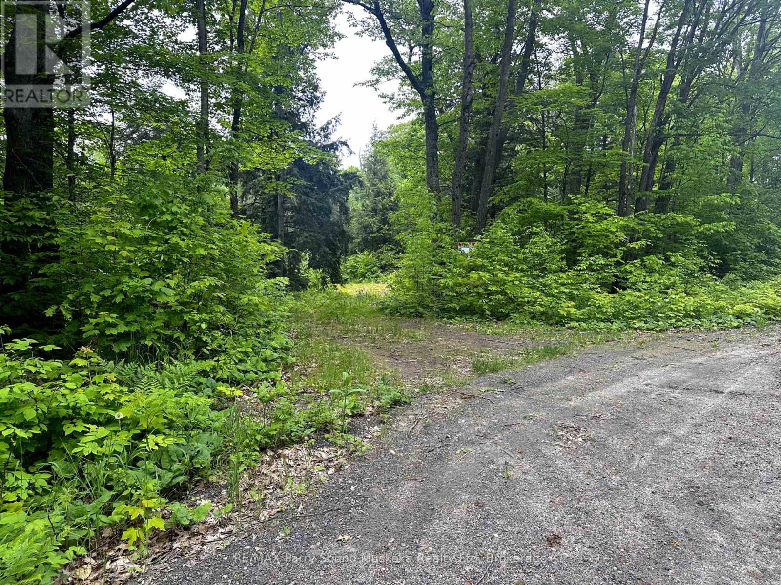 3 Greenwood Camp Road, Seguin, Ontario  P2A 2W8 - Photo 8 - X12114584