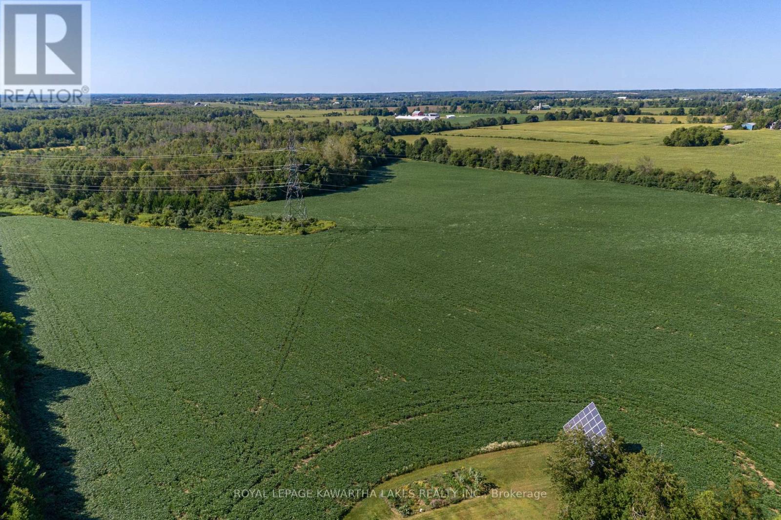 890 Woodville Road, Kawartha Lakes, Ontario  K0M 2T0 - Photo 32 - X12114658