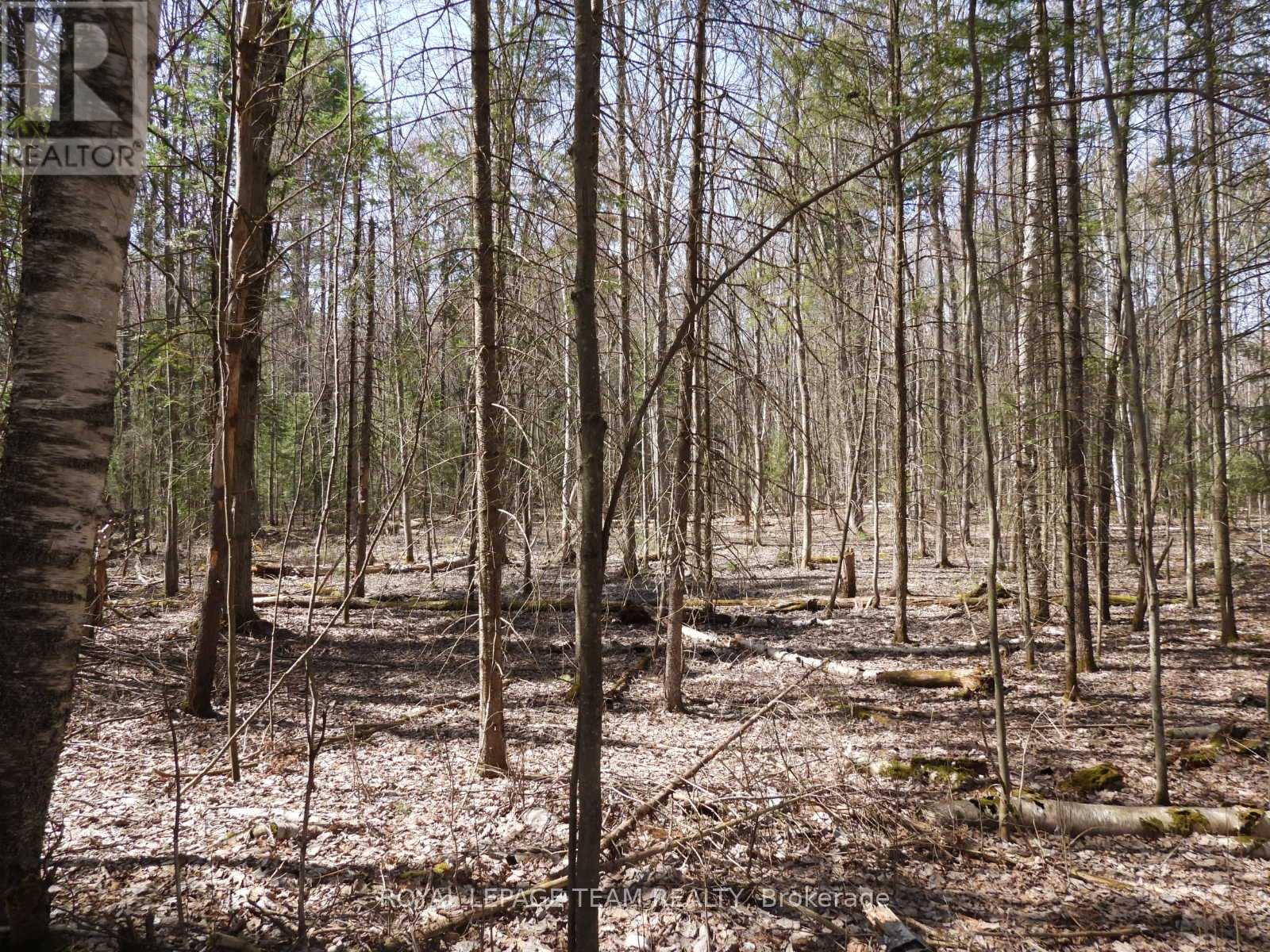 0001 Galetta Side Road, Ottawa, Ontario  K0A 3M0 - Photo 11 - X12114670
