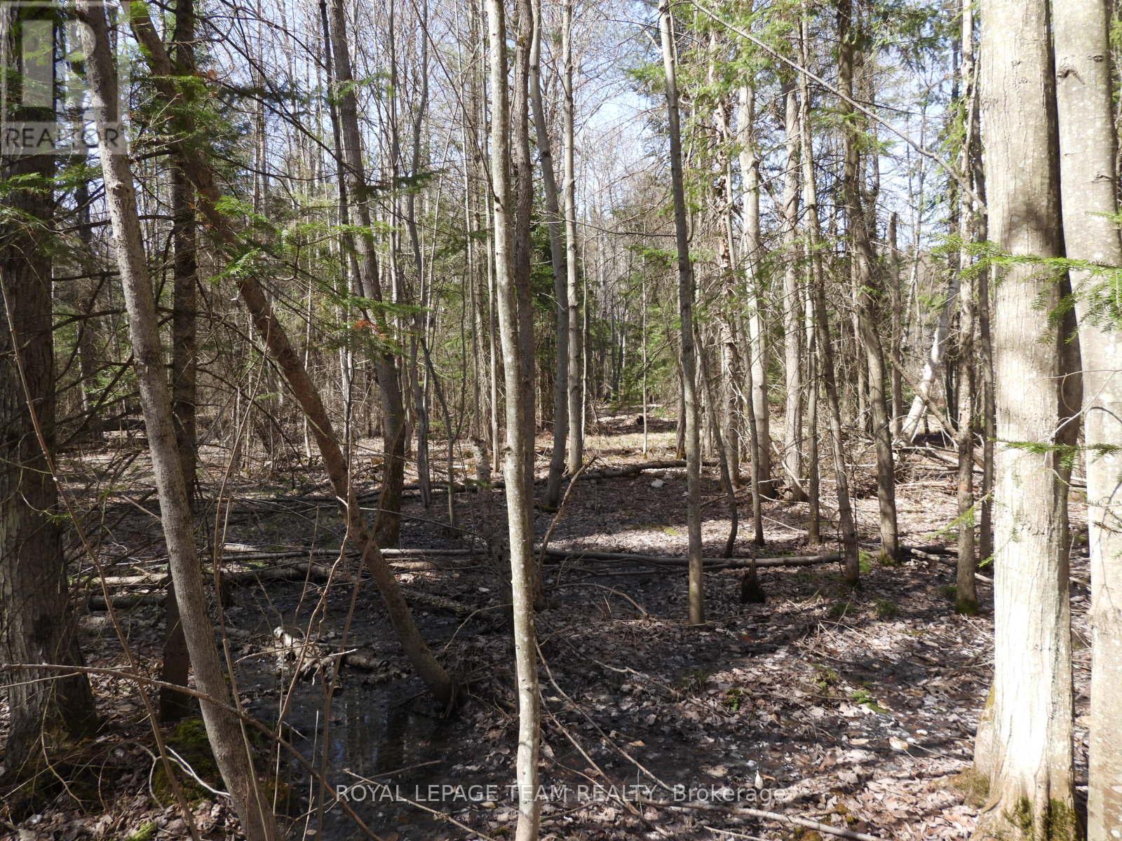 0001 Galetta Side Road, Ottawa, Ontario  K0A 3M0 - Photo 16 - X12114670