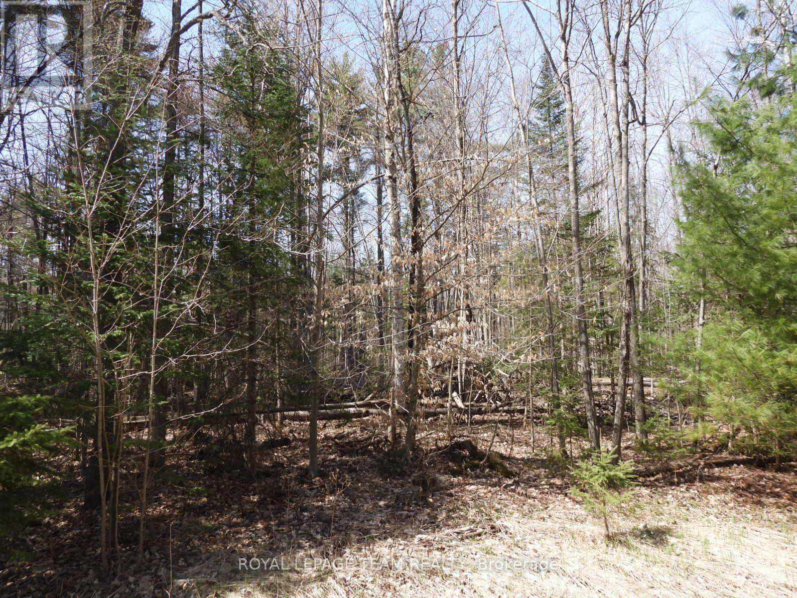 Property at 0001 GALETTA SIDE ROAD image 2