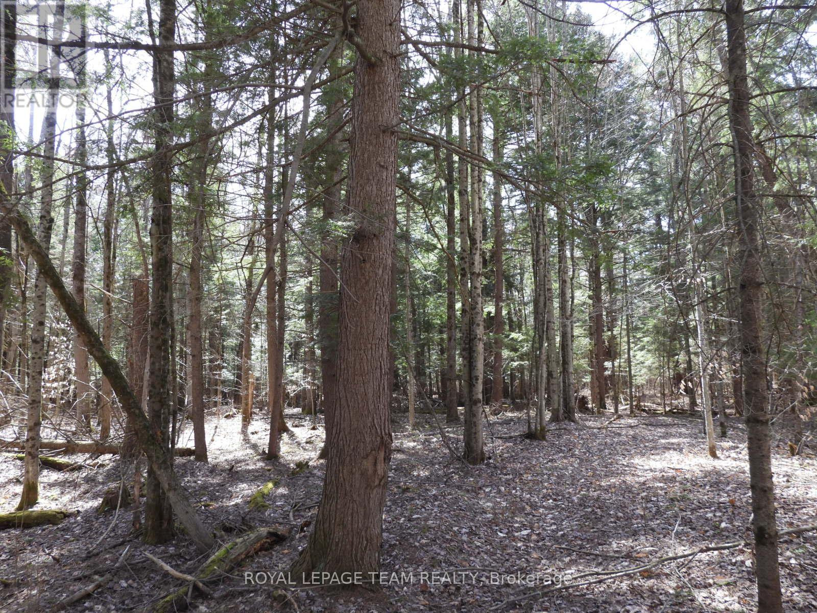 0001 Galetta Side Road, Ottawa, Ontario  K0A 3M0 - Photo 28 - X12114670