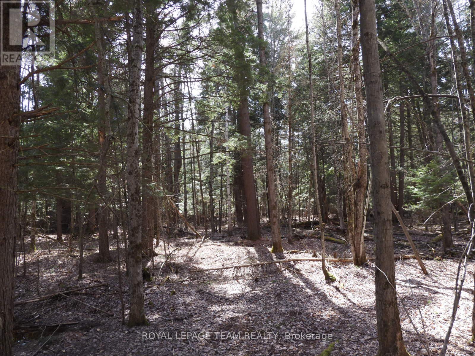 0001 Galetta Side Road, Ottawa, Ontario  K0A 3M0 - Photo 29 - X12114670