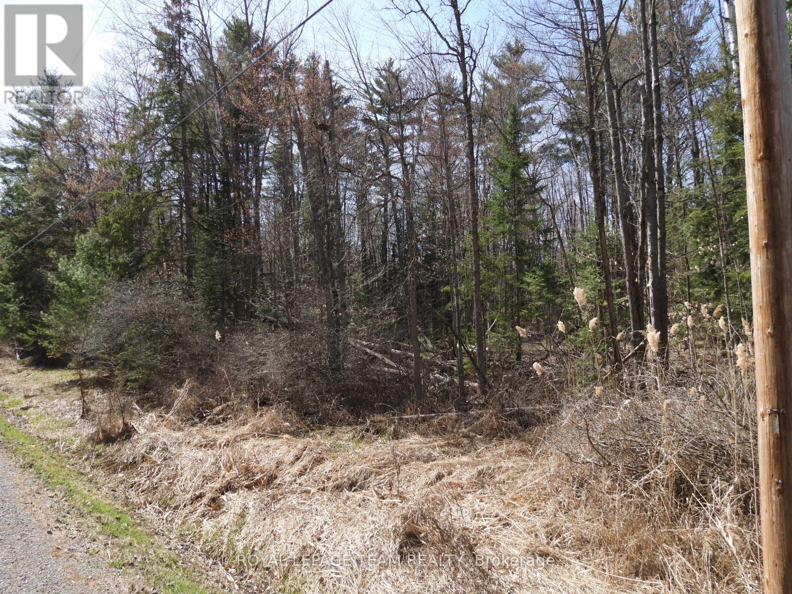 Property at 0001 GALETTA SIDE ROAD image 3