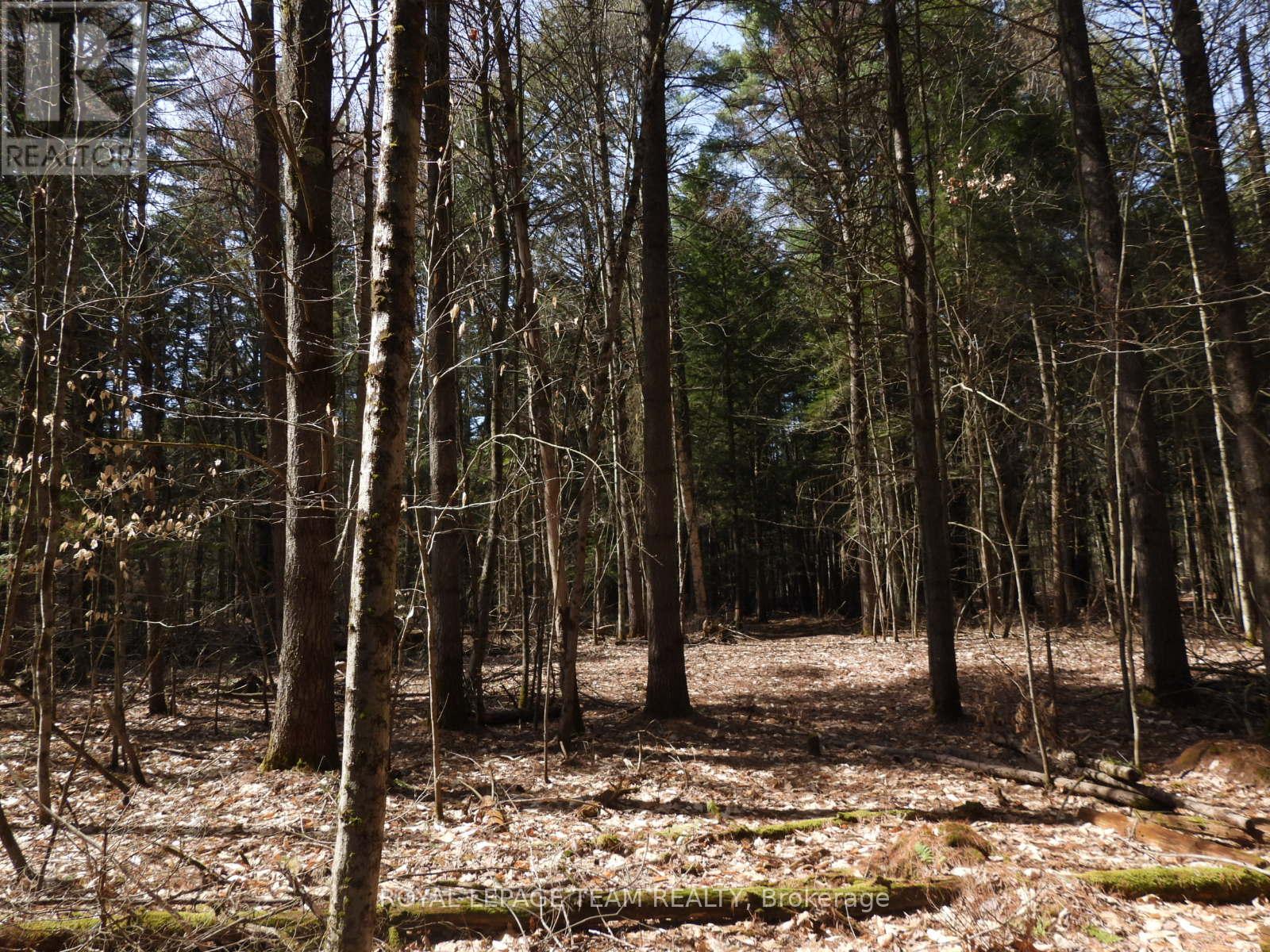 0001 Galetta Side Road, Ottawa, Ontario  K0A 3M0 - Photo 33 - X12114670